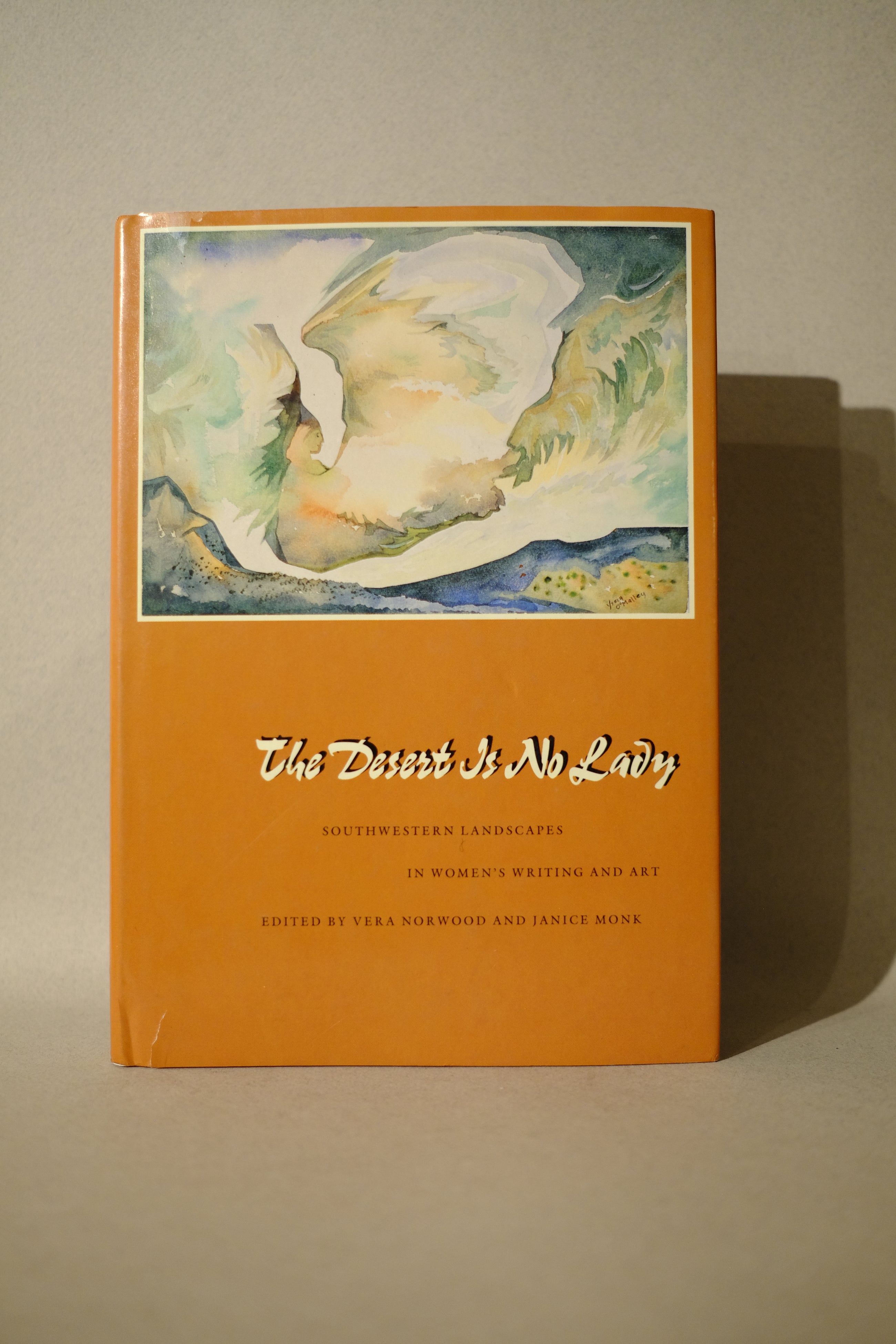 the desert is no lady: southern landscapes in women's writing and art