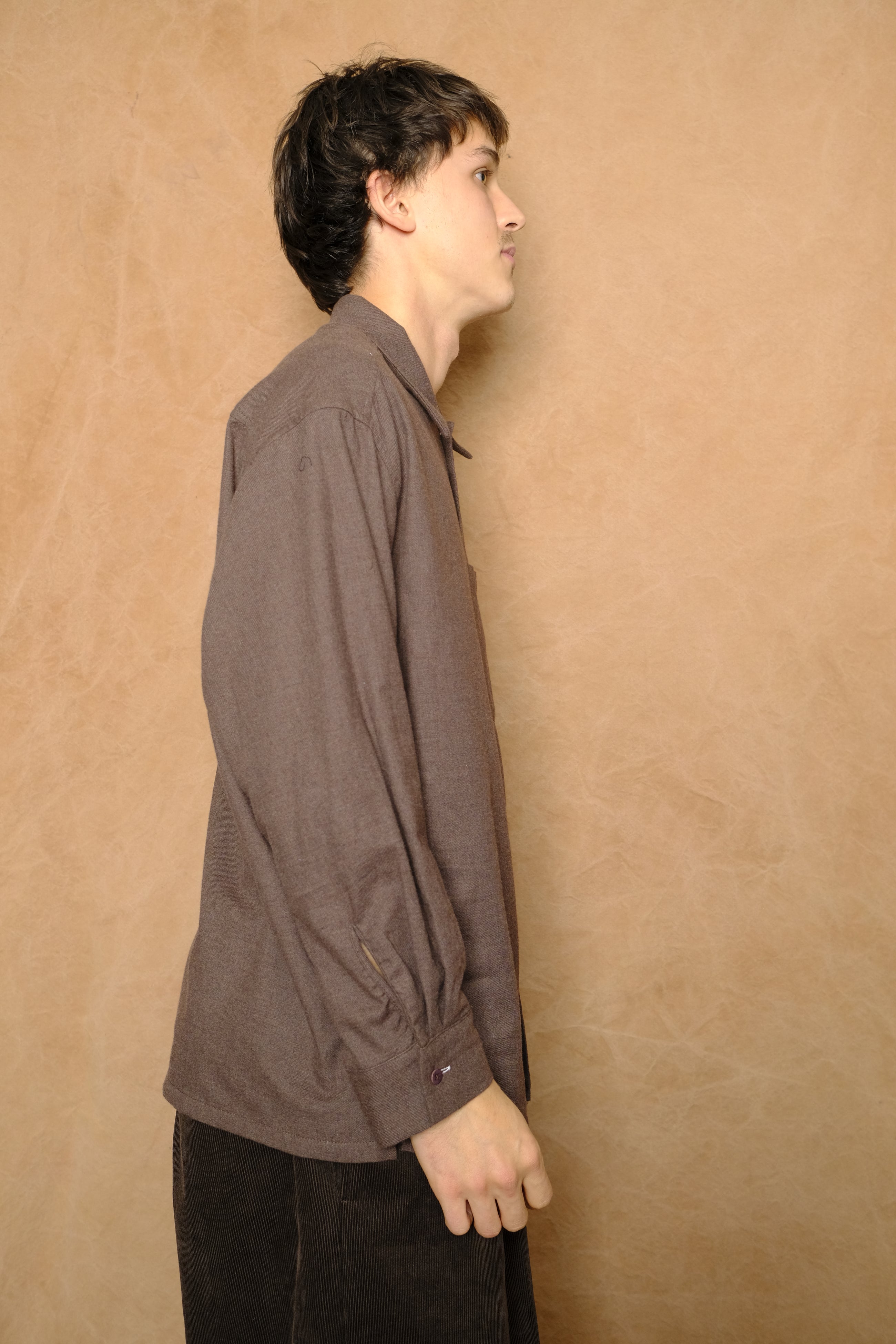 peter button down in brown