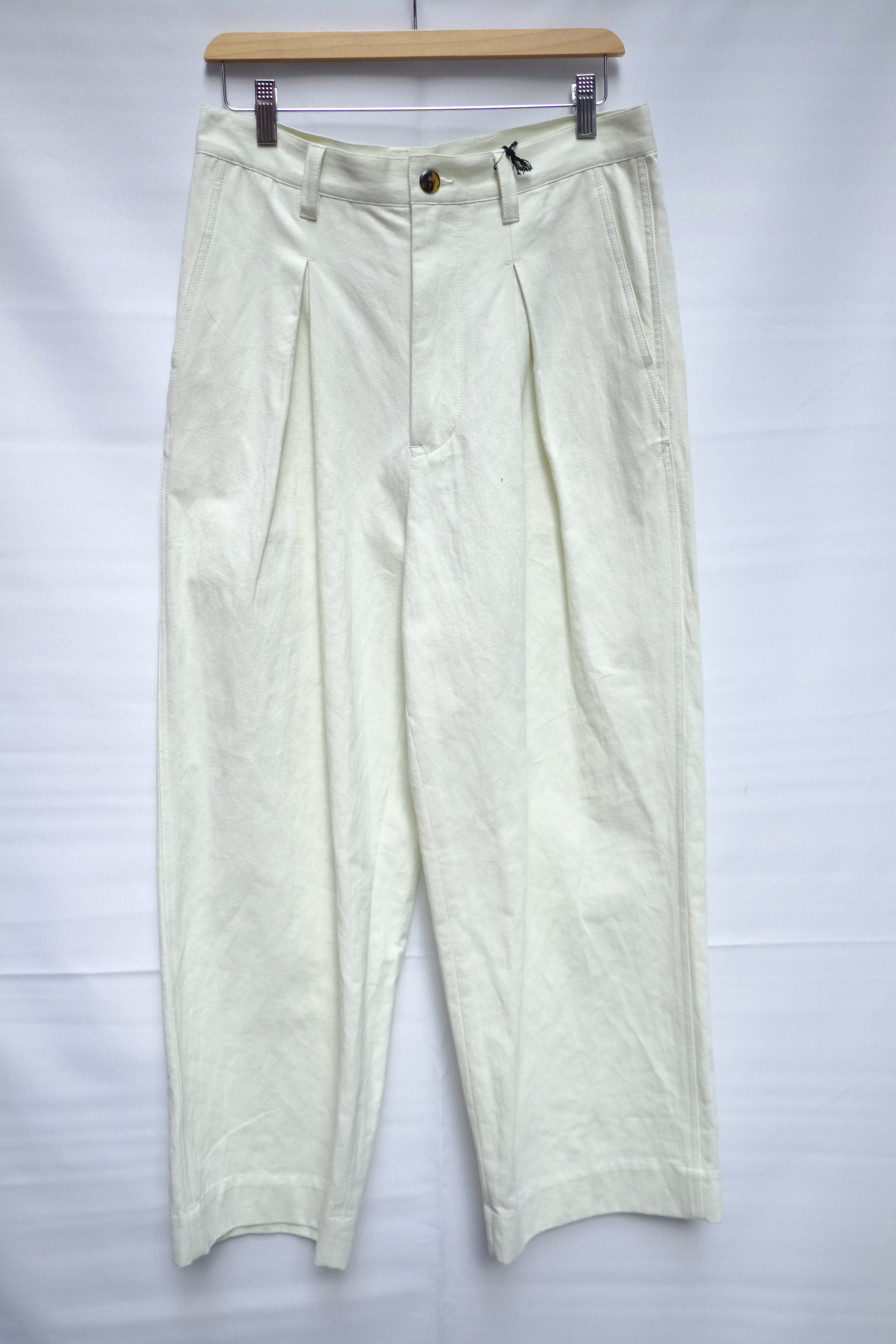 Inverted Pleat Pants in Mint