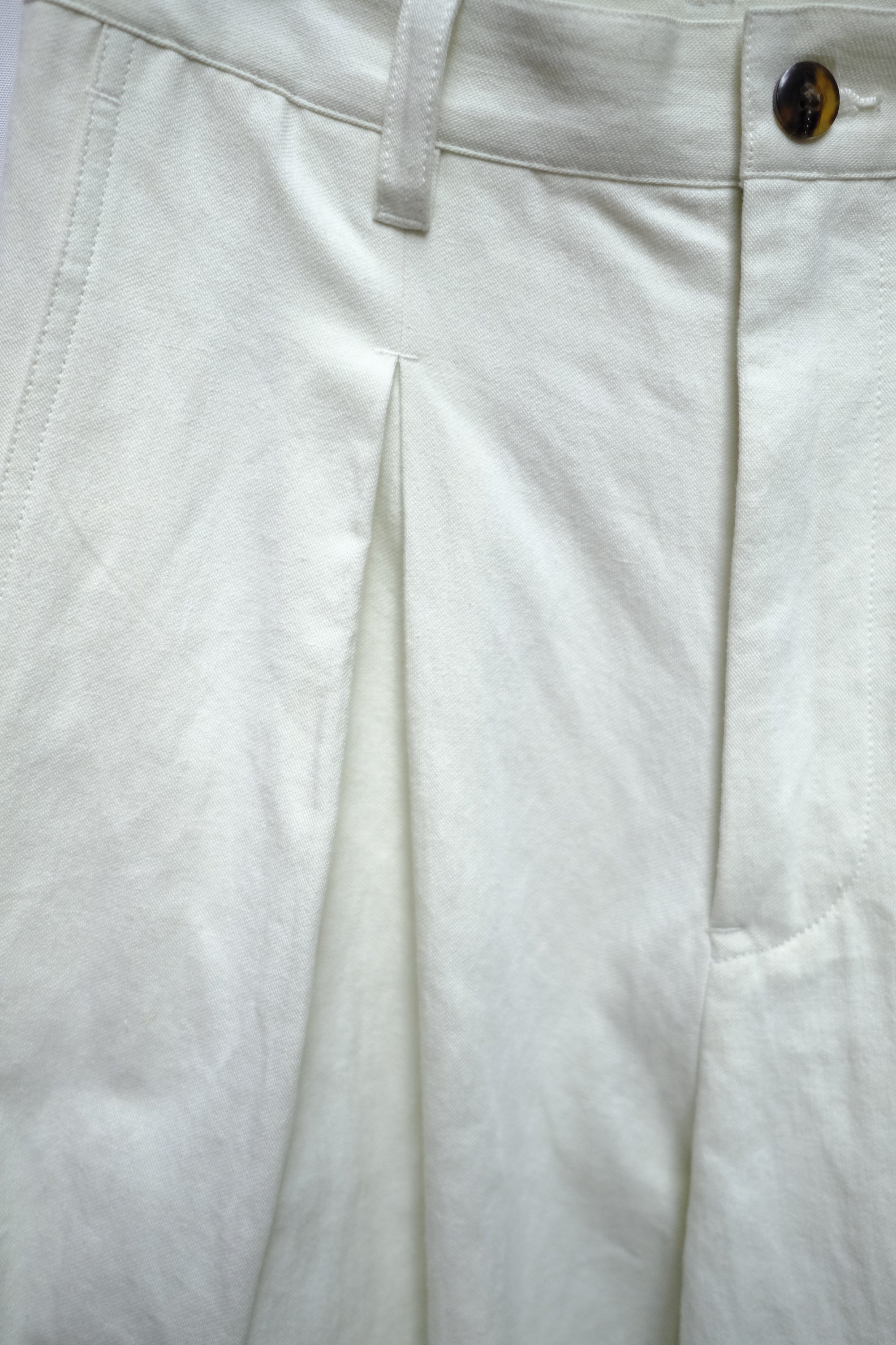 Inverted Pleat Pants in Mint