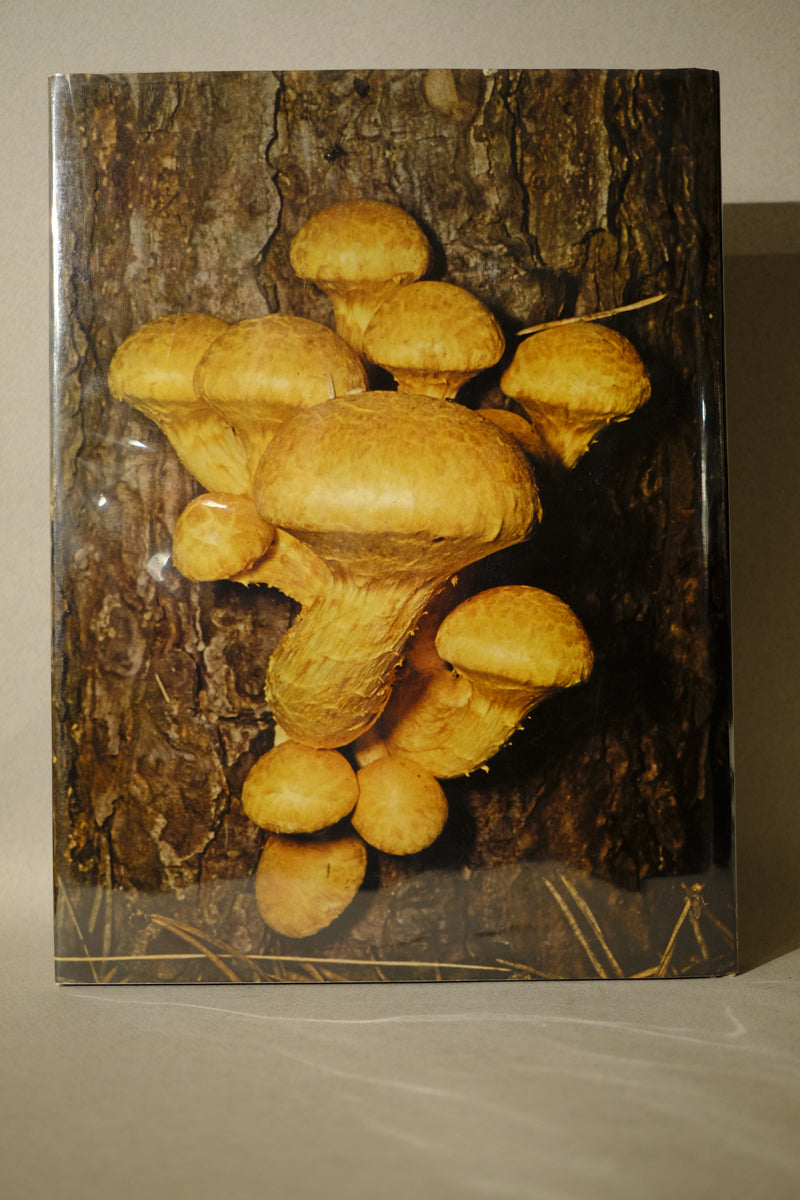 mushrooms and toadstools by geoffrey kibby