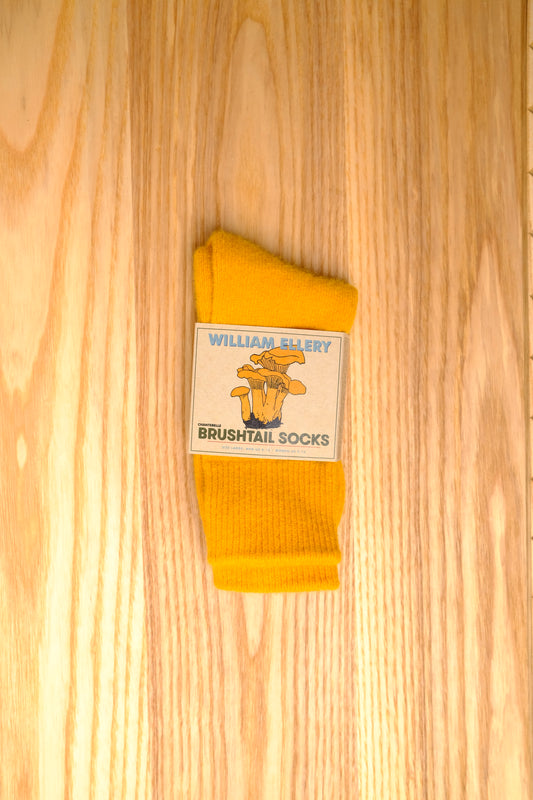 chanterelle brushtail socks