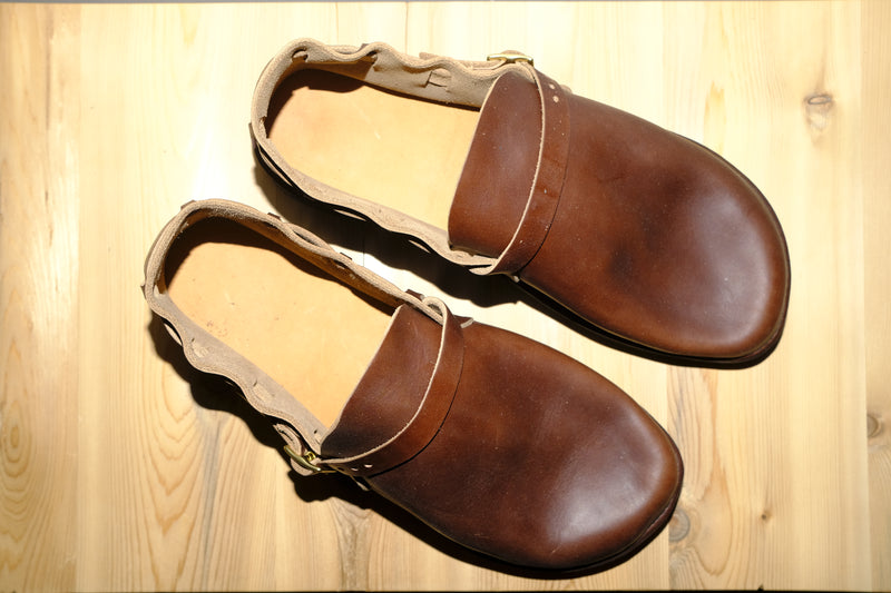 middle english in brown