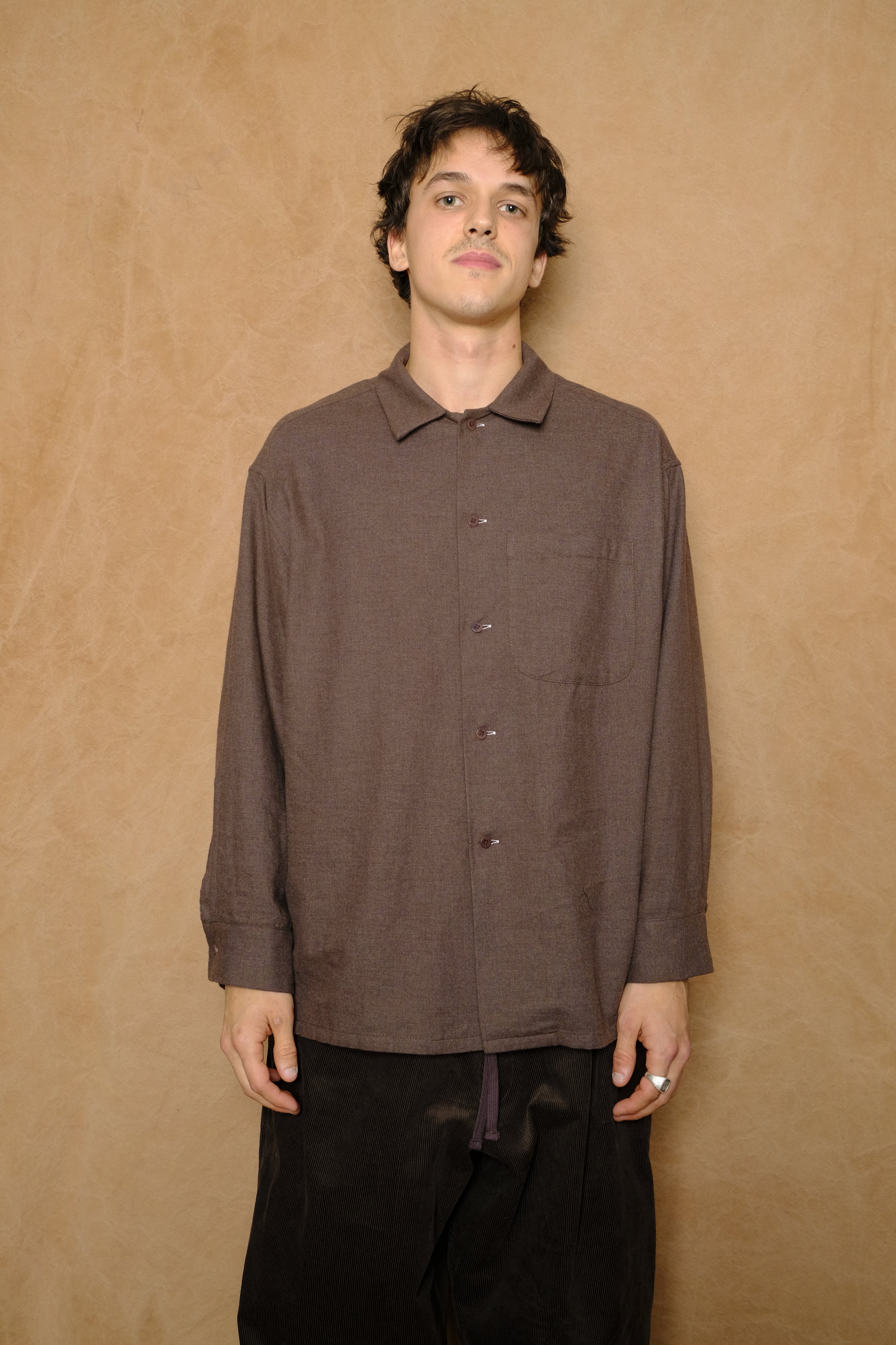 peter button down in brown