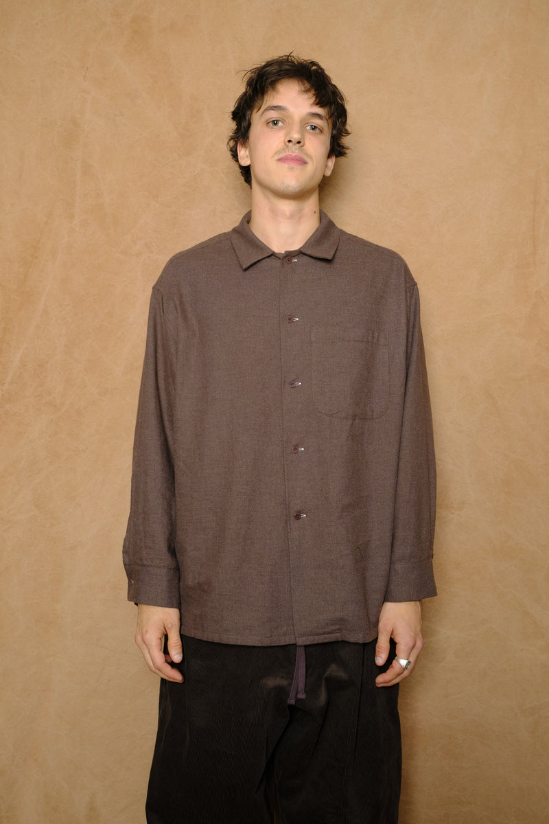 peter button down in brown