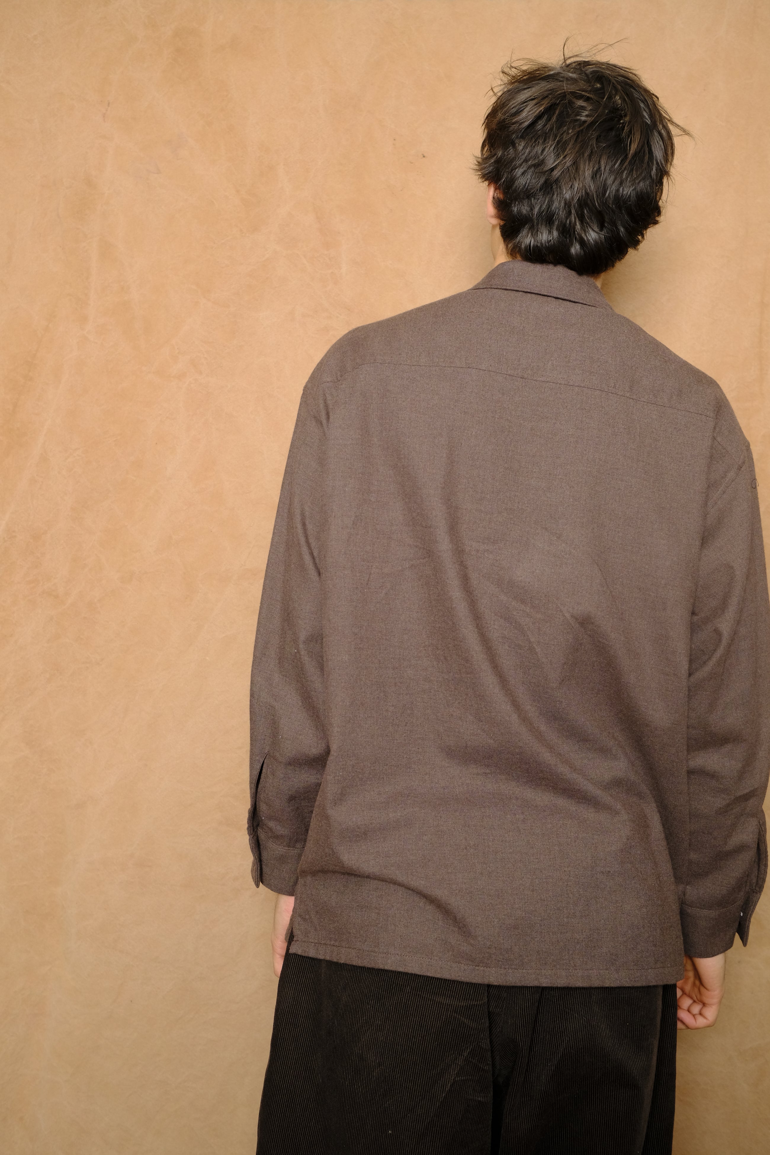 peter button down in brown